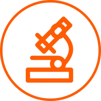 Strong R&D Capability